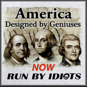 America-run-by-idiots